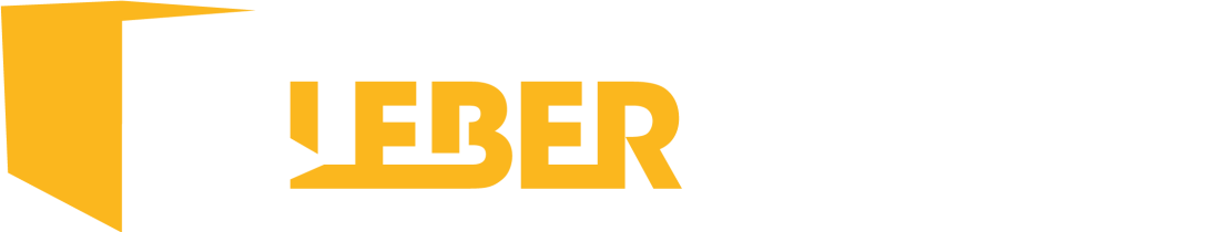 Leberschuss